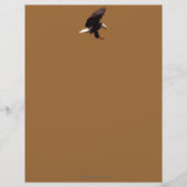 Cool Bald Eagle Wildlife Collection Briefkopf (Vorderseite)