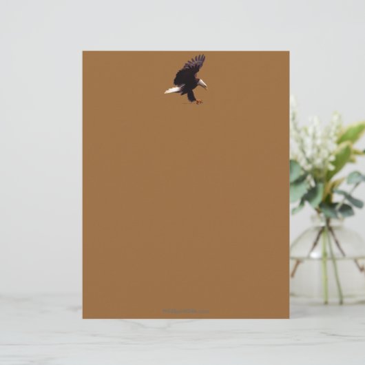 Cool Bald Eagle Wildlife Collection Briefkopf (Stehend Vorderseite)