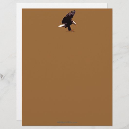 Cool Bald Eagle Wildlife Collection Briefkopf (Vorne/Hinten)