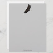 Cool Bald Eagle Wildlife Collection Briefkopf (Vorne/Hinten)
