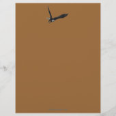 Cool Bald Eagle Wildlife Collection Briefkopf (Vorderseite)