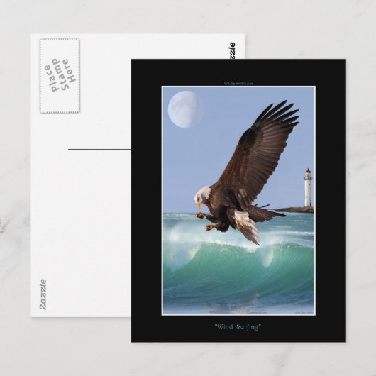 Cool Bald Eagle Wildlife Collection Postkarte (Vorne/Hinten)
