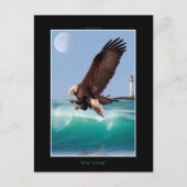 Cool Bald Eagle Wildlife Collection Postkarte (Vorderseite)