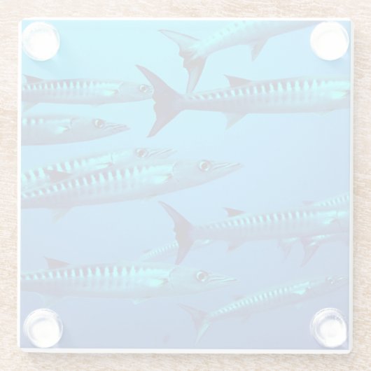 Cool Barracudas Glasuntersetzer (Rückseite)