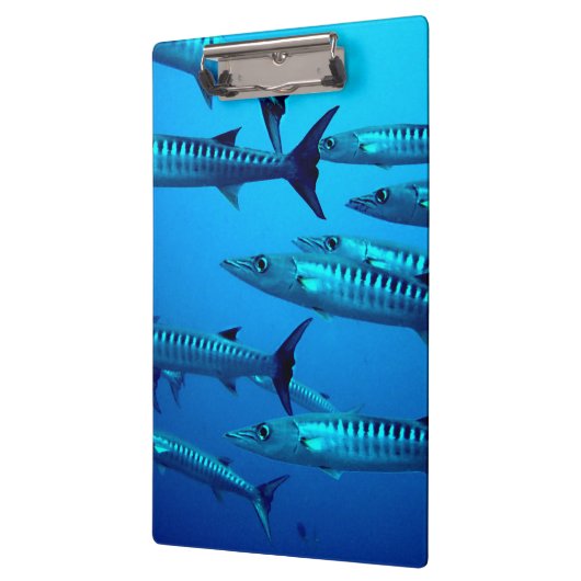 Cool Barracudas Klemmbrett (Links)