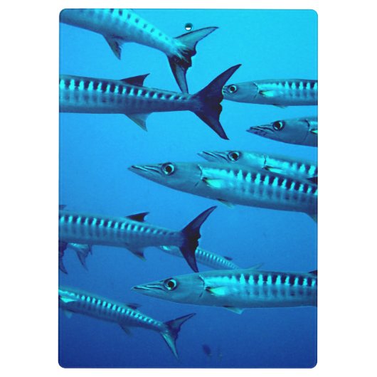 Cool Barracudas Klemmbrett (Rückseite)