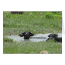 Cool behaltend in Pokhara