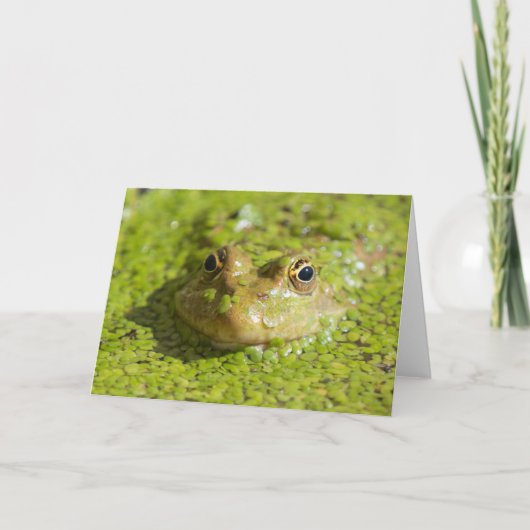 cool behaltend karte (Vorderseite)