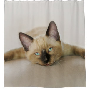Cool bleibe und Chill Out Kitten Duschvorhang