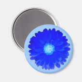 Cool Blue Marigold Magnet (Vorderseite/Rückseite)