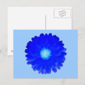 Cool Blue Marigold Postcard Postkarte (Vorne/Hinten)