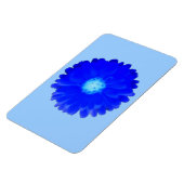 Cool Blue Marigold Premium Magnet (Linke Seite)