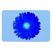 Cool Blue Marigold Premium Magnet (Horizontal)