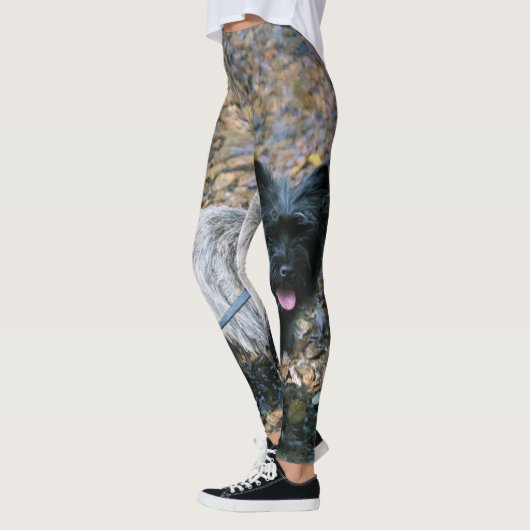 Cool Cairn Leggings (Links)