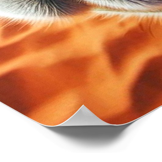 Cool Camel Poster (Ecke)