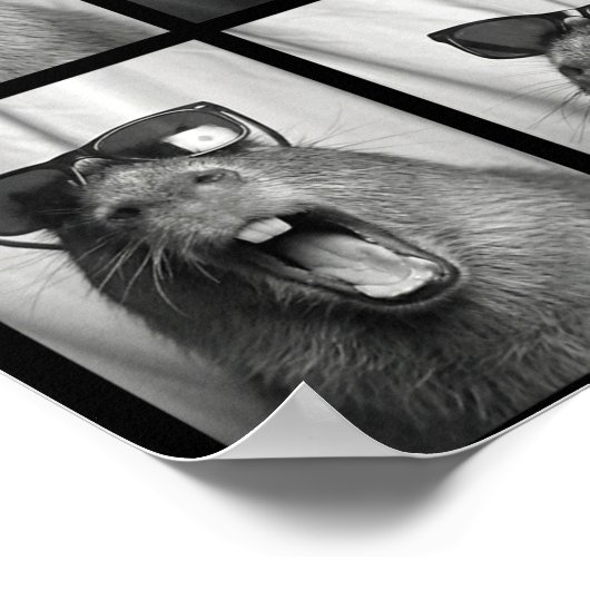 Cool Capybara With Sungles Photobooth Funny Rodent Poster (Ecke)
