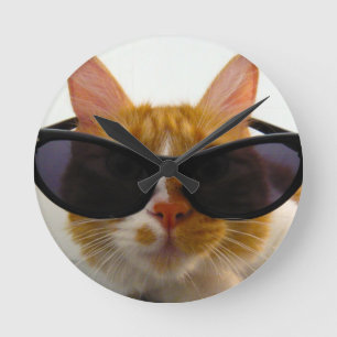 Cool Cat trägt Sonnenbrille Uhr