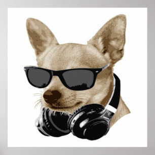 Cool Chihuahua   Chihuahua mit Brillen Poster