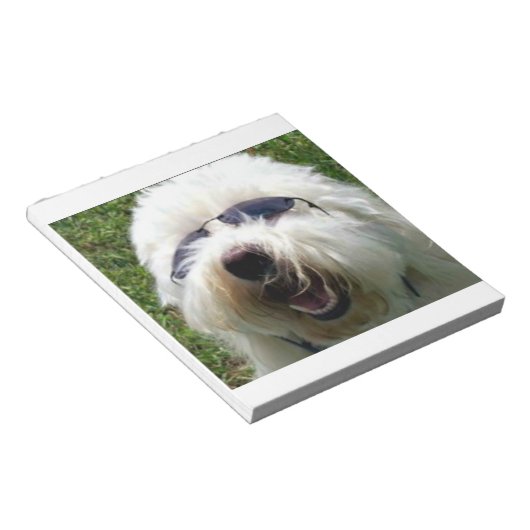 Cool Coton de Tulear Notizblock (angewinkelt)