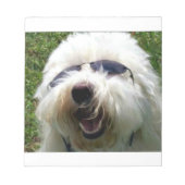 Cool Coton de Tulear Notizblock (Vorderseite)