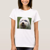 Cool Coton de Tulear T-Shirt (Vorderseite)