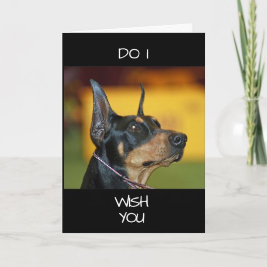 **COOL DOBERMAN** sagt GLÜCKLICH "40." Karte (Vorderseite)