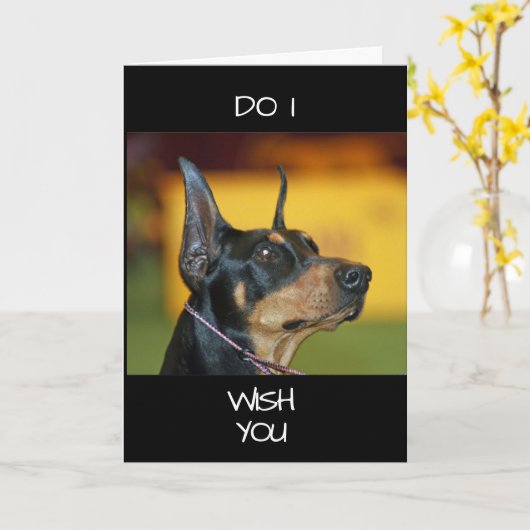 **COOL DOBERMAN** sagt GLÜCKLICH "40." Karte (Gelbe Blume)