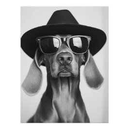 Cool Dog Portrait - Weimaraner in Hat and Sunglass Poster