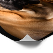 Cool Dog Sungles Bullmastiff Funny Look  Poster (Ecke)