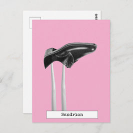 Cool Doll Fashion Postcard Postkarte