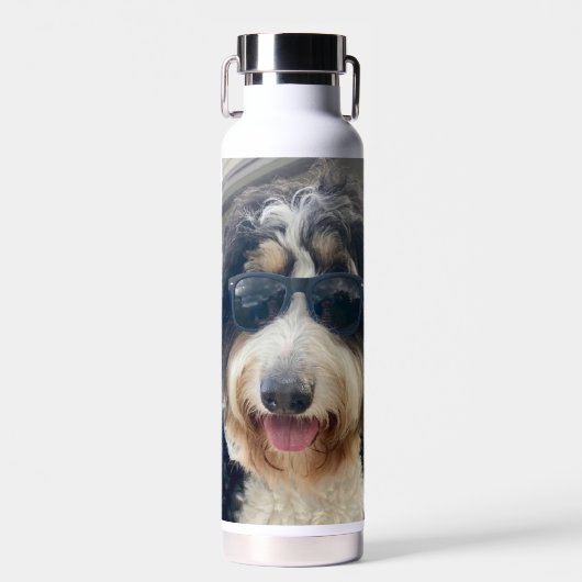 "Cool Dood! Bernedoodle in Sonnenbrille Wasser Fla Trinkflasche (Vorne)