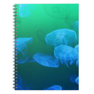 Cool Jellyfish Green Blue Gradient Notizblock