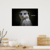 Cool Kat...... Poster (Küche)