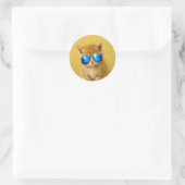 Cool Kitten in Sonnenbrille Runder Aufkleber (Tasche)