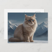 Cool Kitty Postkarte (Vorne/Hinten)