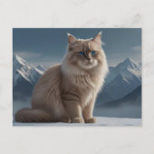 Cool Kitty Postkarte (Vorderseite)