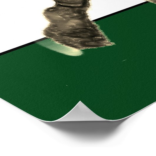 Cool Lacrosse Poster (Ecke)