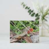 Cool Lizard Anole Postkarte (Stehend Vorderseite)