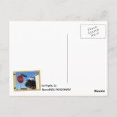 Cool Los Angeles/Endeavor Postcard! Postkarte (Rückseite)