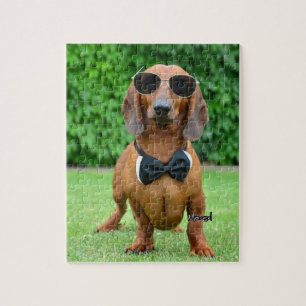 Cool mit Sunglass Dackel Hund 110 Puzzle