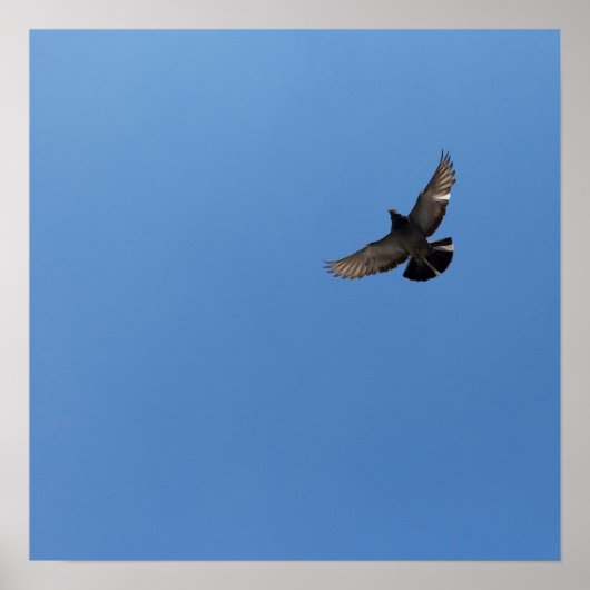 Cool Modern fliegender Vogel, einfach modernes Des Poster (Vorne)