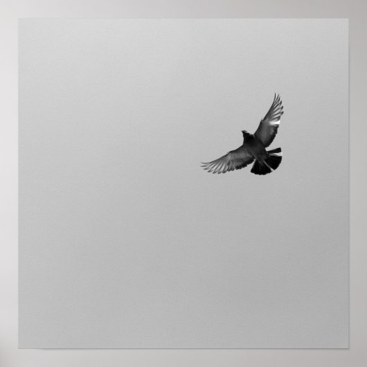 Cool Modernes B&W fliegender Vogel, einfach modern Poster (Vorne)