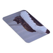 Cool Nebelung Magnet (Rechte Seite)