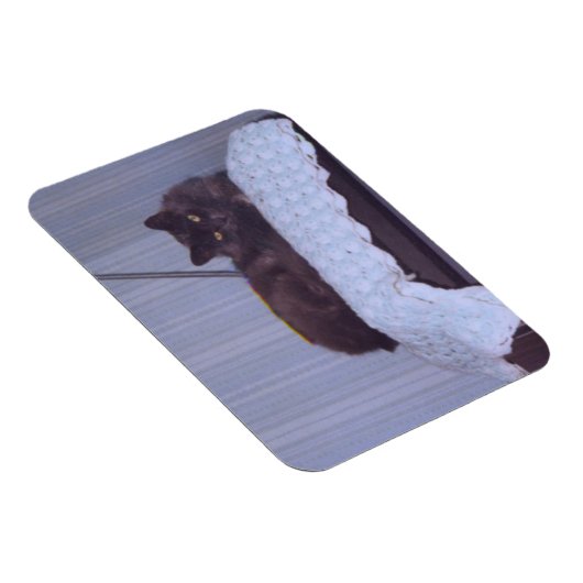 Cool Nebelung Magnet (Rechte Seite)