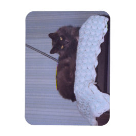 Cool Nebelung Magnet