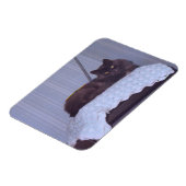 Cool Nebelung Magnet (Linke Seite)