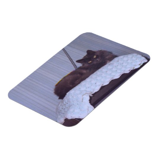 Cool Nebelung Magnet (Linke Seite)