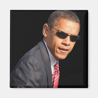 Cool Obama Magnet