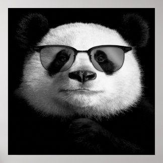 Cool Panda Poster | Niedlich Panda Lover