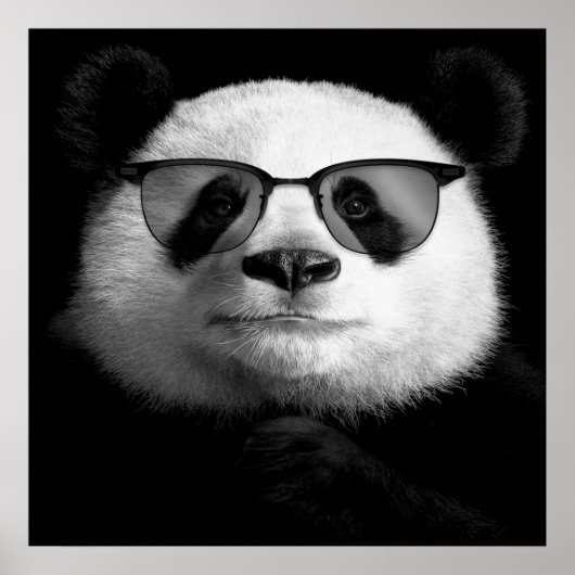 Cool Panda Poster | Niedlich Panda Lover (Vorne)